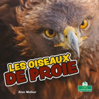 Les_oiseaux_de_proie