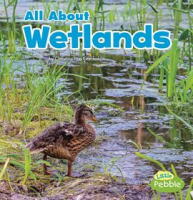 All_About_Wetlands