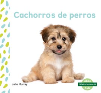 Cachorros_de_perros__Puppies_