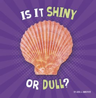 Is_It_Shiny_or_Dull_