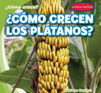 __C__mo_crecen_los_pl__tanos___How_Do_Bananas_Grow__