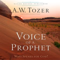 Voice_of_a_Prophet