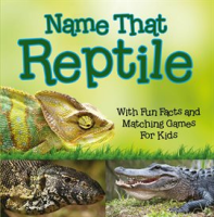 Name_That_Reptile
