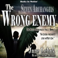 The_Wrong_Enemy
