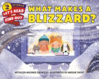 What_makes_a_blizzard_