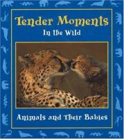 Tender_moments_in_the_wild