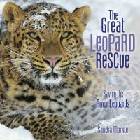The great leopard rescue