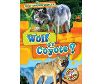 Wolf_or_Coyote_