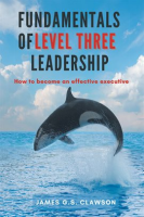 Fundamentals_of_Level_Three_Leadership