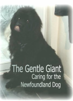 The_Gentle_Giant
