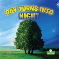 Day_Turns_into_Night