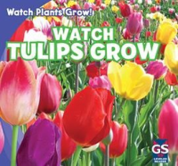 Watch_Tulips_Grow