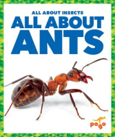 All_About_Ants