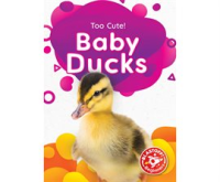 Baby_Ducks