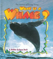 What_is_a_Whale_