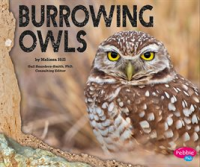 Burrowing_Owls