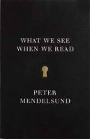 What_we_see_when_we_read