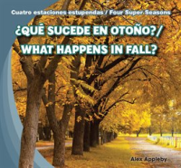 __Qu___sucede_en_oto__o____What_Happens_in_Fall_