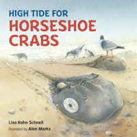High_Tide_for_Horseshoe_Crabs