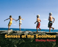 Senses_at_the_Seashore