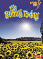 It_s_Sunny_Today