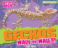 Geckos_Walk_on_Walls_