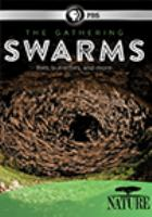 The_gathering_swarms
