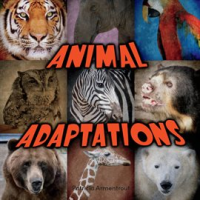Animal_Adaptations