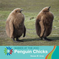 Penguin_Chicks