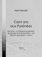 Cent ans aux Pyrénées, Tome I