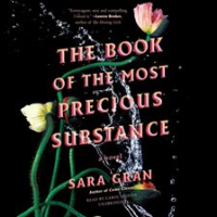 The_Book_of_the_Most_Precious_Substance