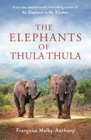 The_elephants_of_Thula_Thula