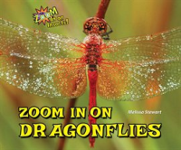 Zoom_in_on_Dragonflies