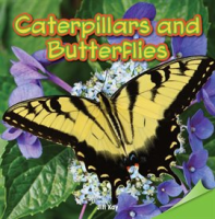 Caterpillars_and_Butterflies