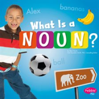 What_Is_a_Noun_