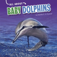 All_About_Baby_Dolphins
