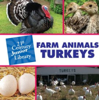 Farm_Animals__Turkey