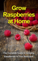 Grow_Raspberries_at_Home