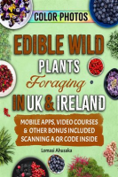 Edible_Wild_Plants_Foraging_in_UK___Ireland