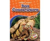 Boa_Constrictors