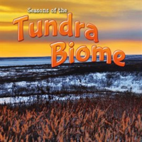 Seasons_of_the_Tundra_Biome
