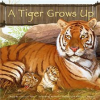 A_Tiger_Grows_Up