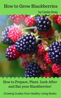 How_to_Grow_Blackberries