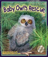 Baby_owl_s_rescue