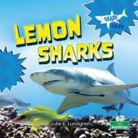 Lemon_Sharks