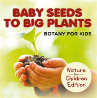 Baby_Seeds_To_Big_Plants