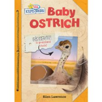 Baby_Ostrich