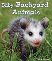Baby_Backyard_Animals