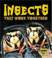 Insects_that_work_together