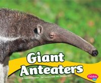 Giant_Anteaters